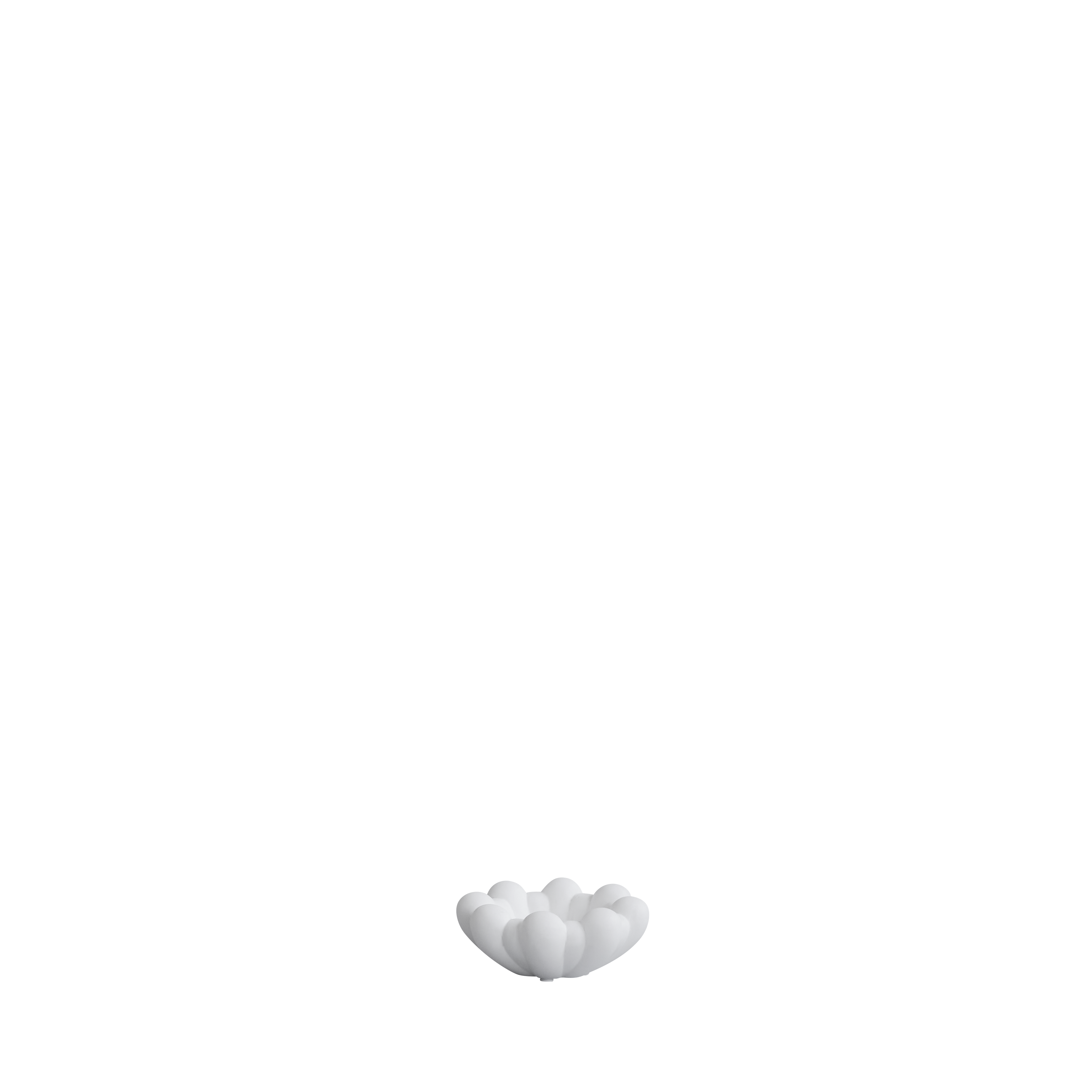 bloom tray - bone white