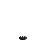 bloom tray - black