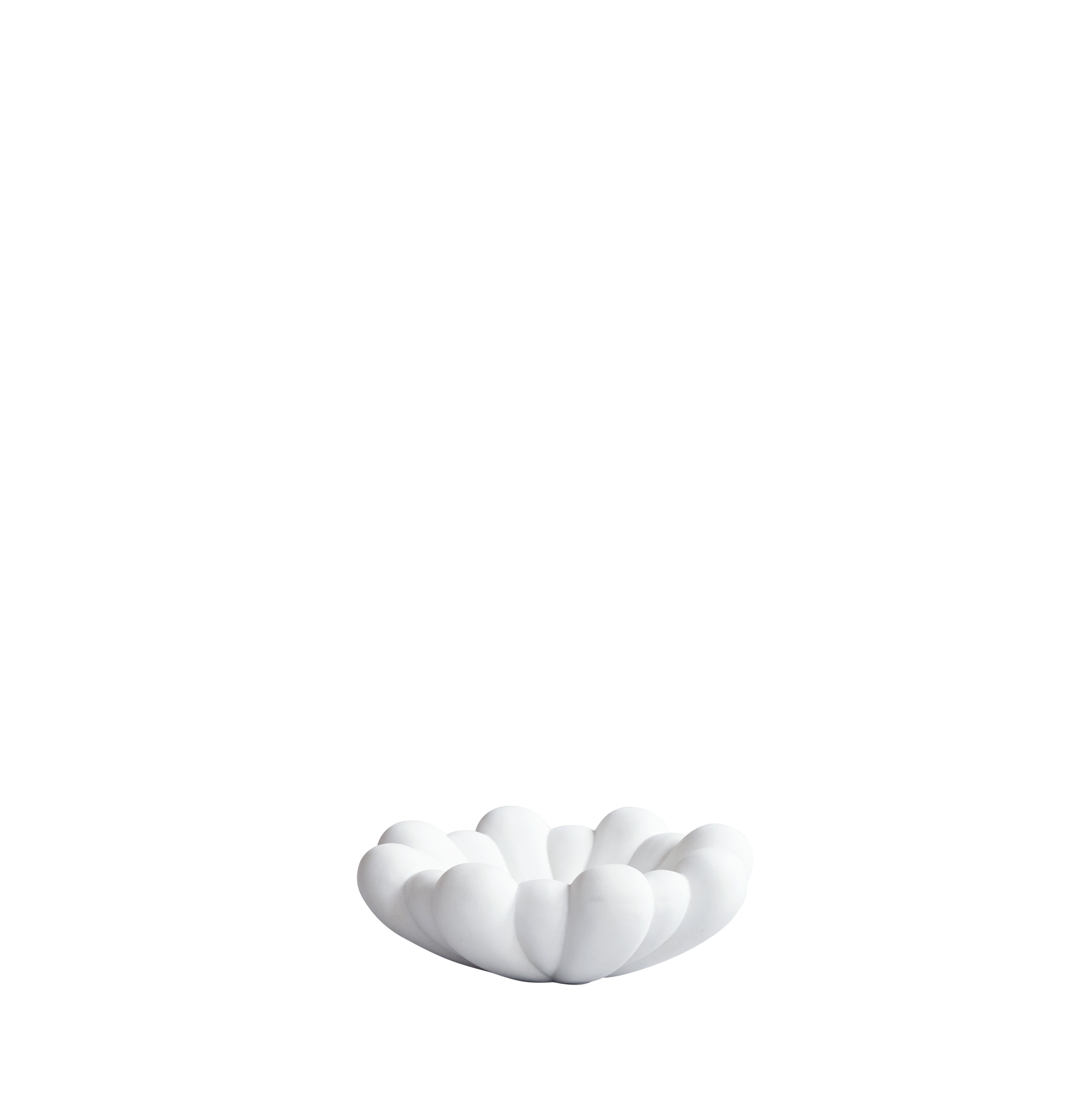 bloom tray - bone white