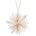 paper ornament snowflake - nature