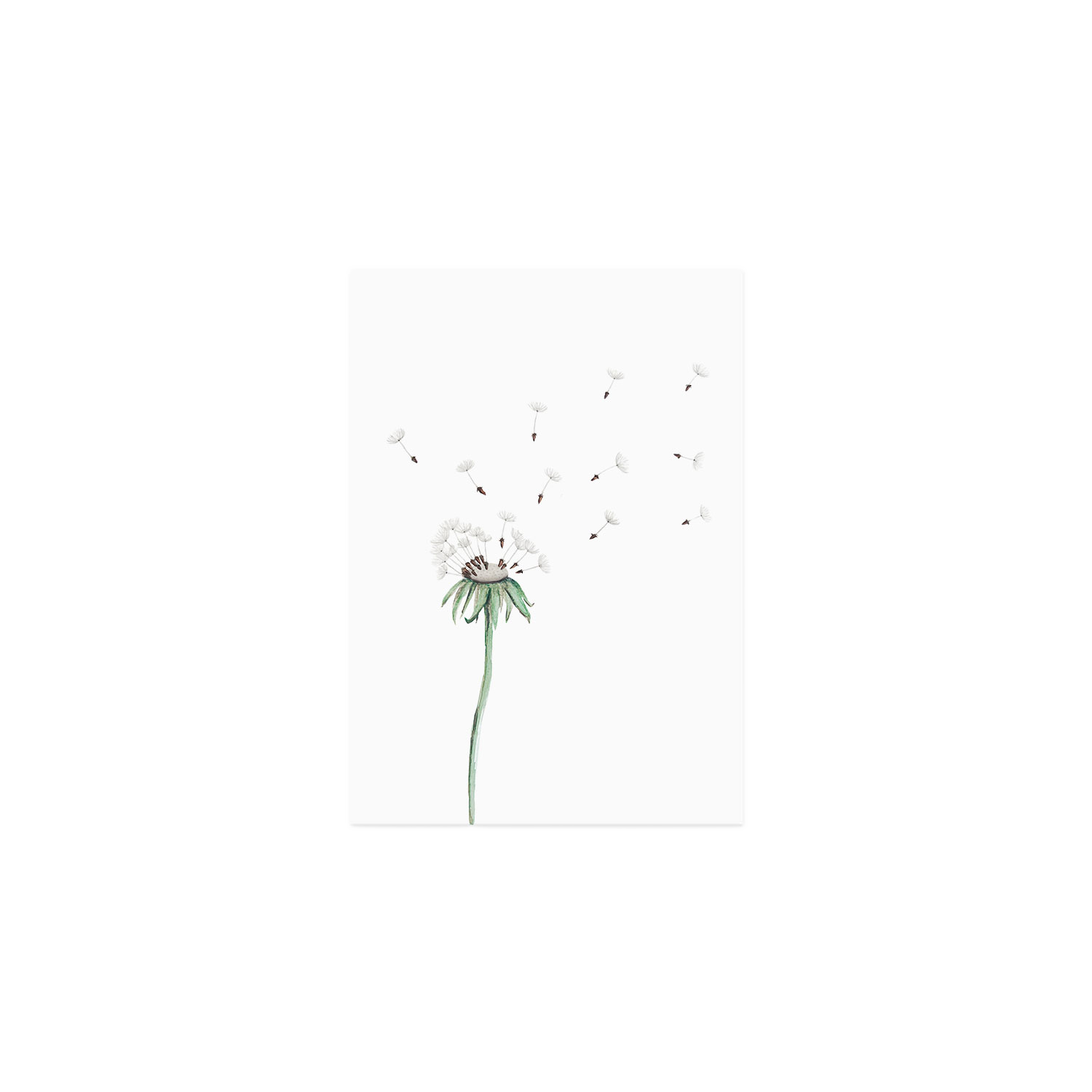 aquarellkarte - pusteblume