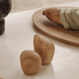 cairn salt and pepper shakers set of 3