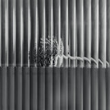 haze wall cabinet - reeded glass