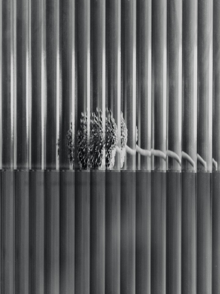 haze wall cabinet - reeded glass