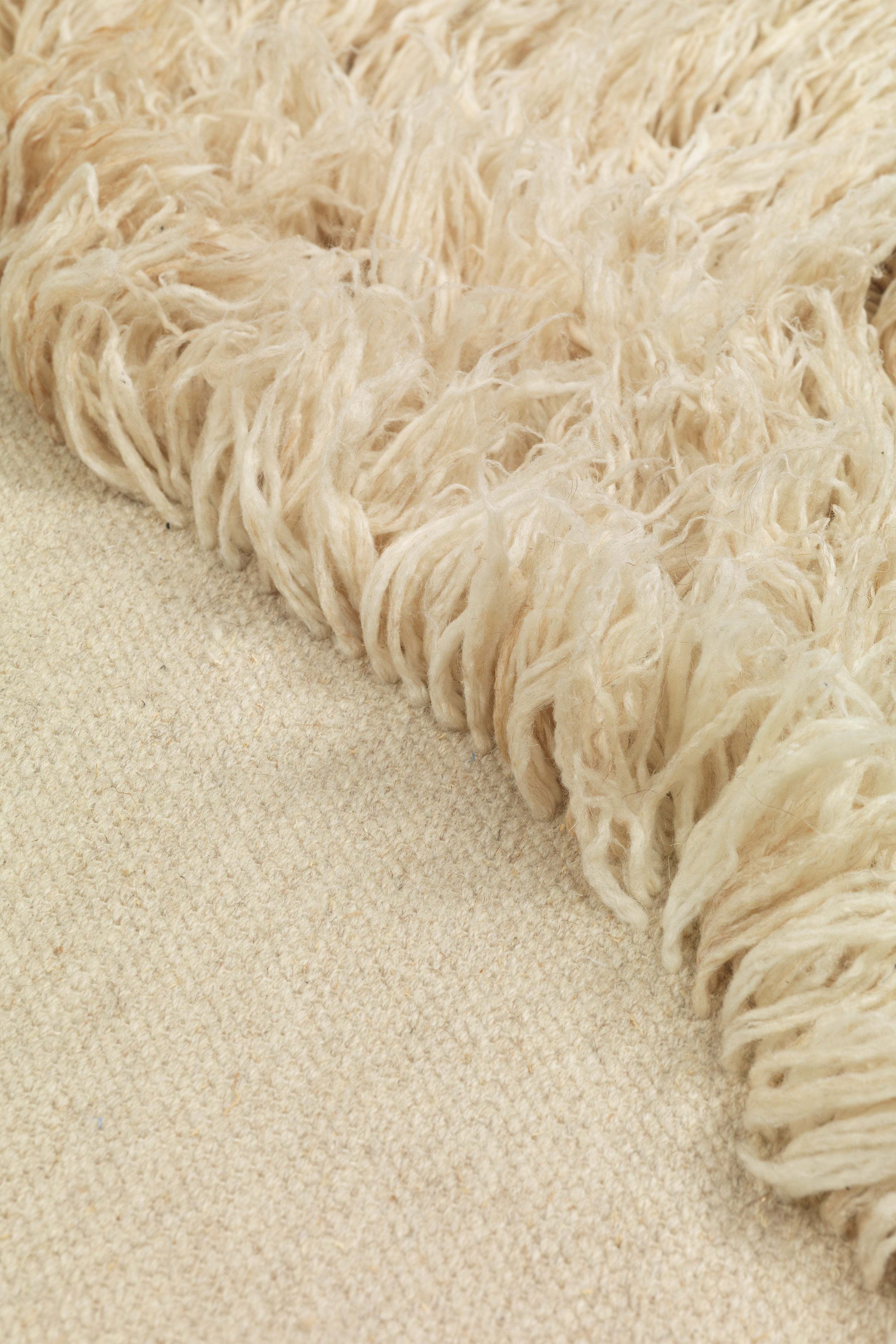 norte - rug