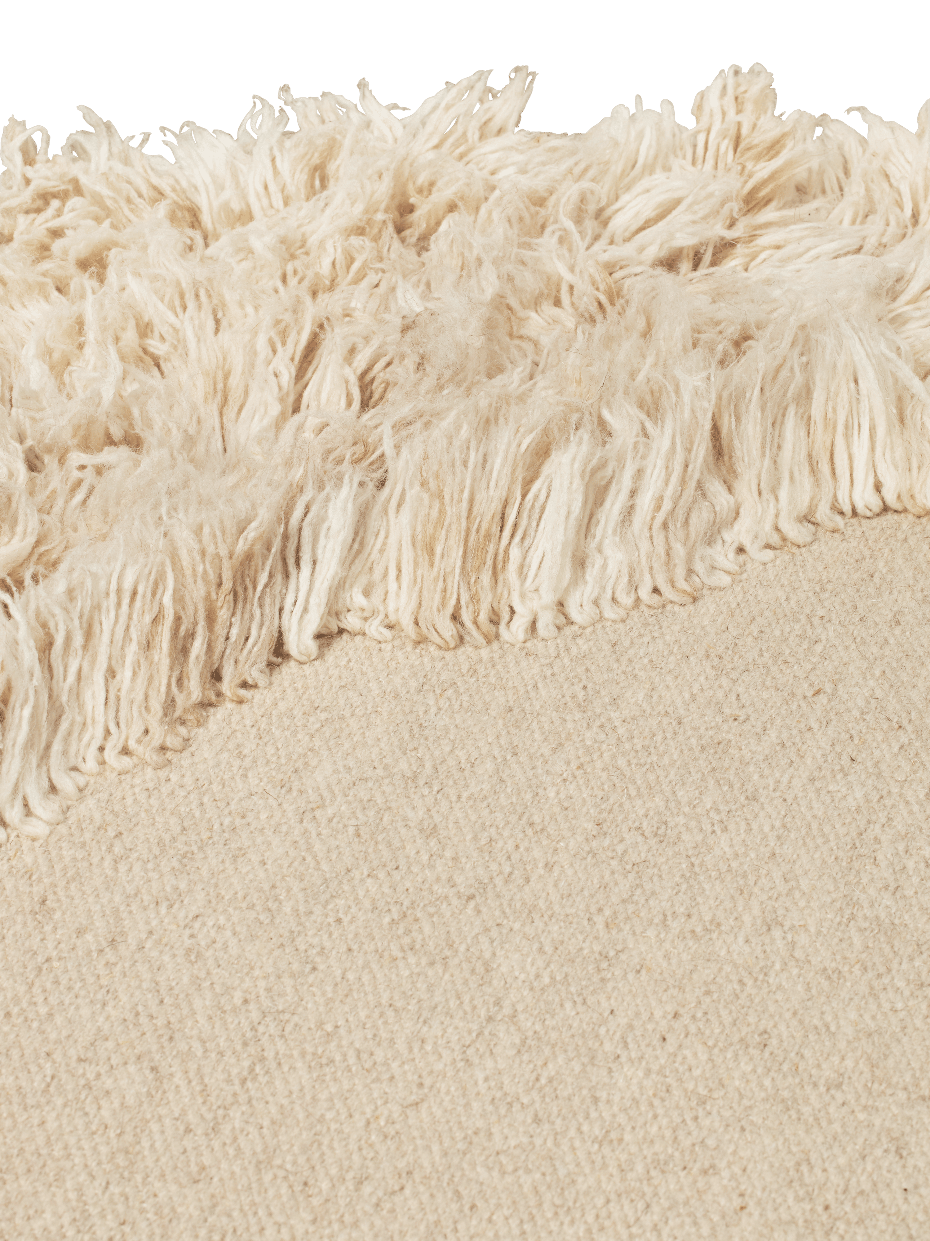 norte - rug