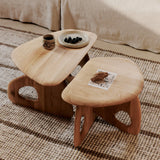 oar - coffee table 