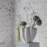 shell vase - off white large 