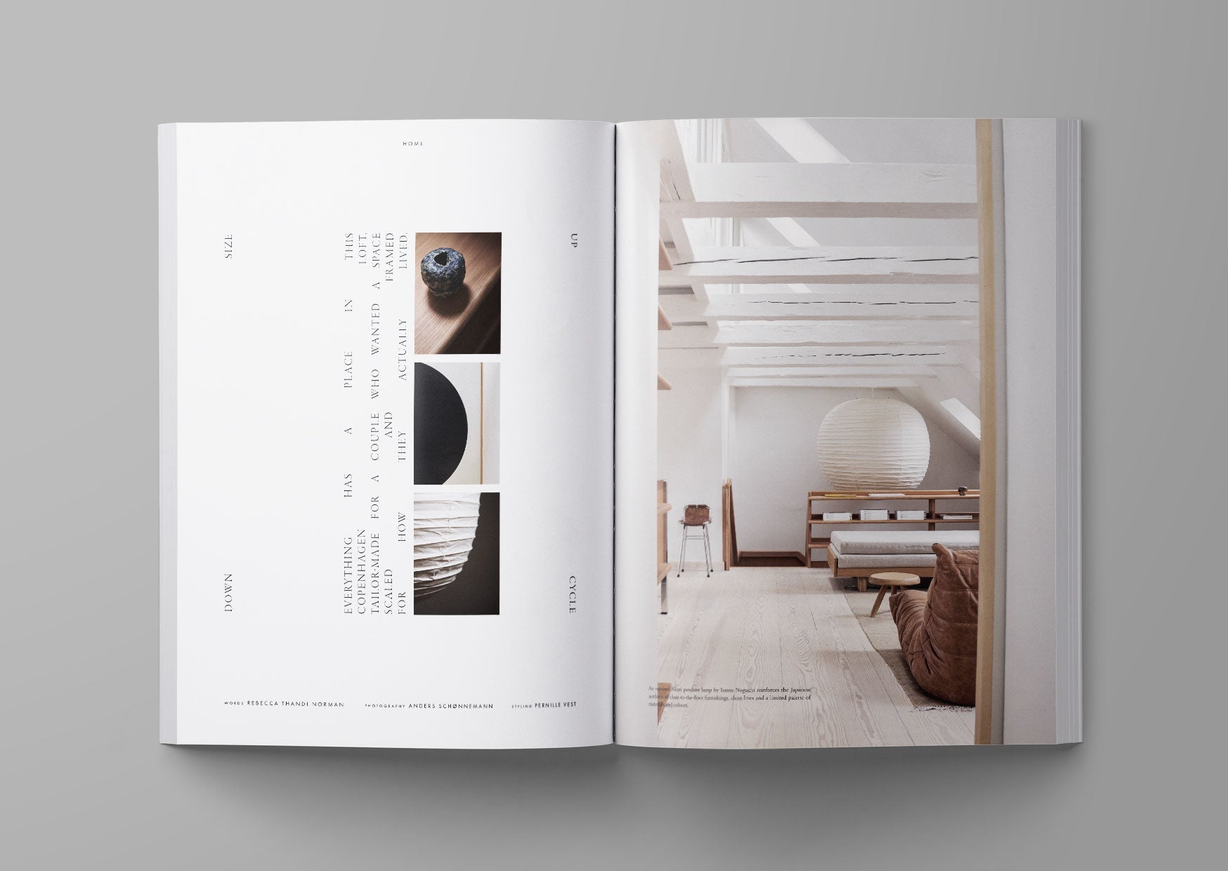 ark journal X