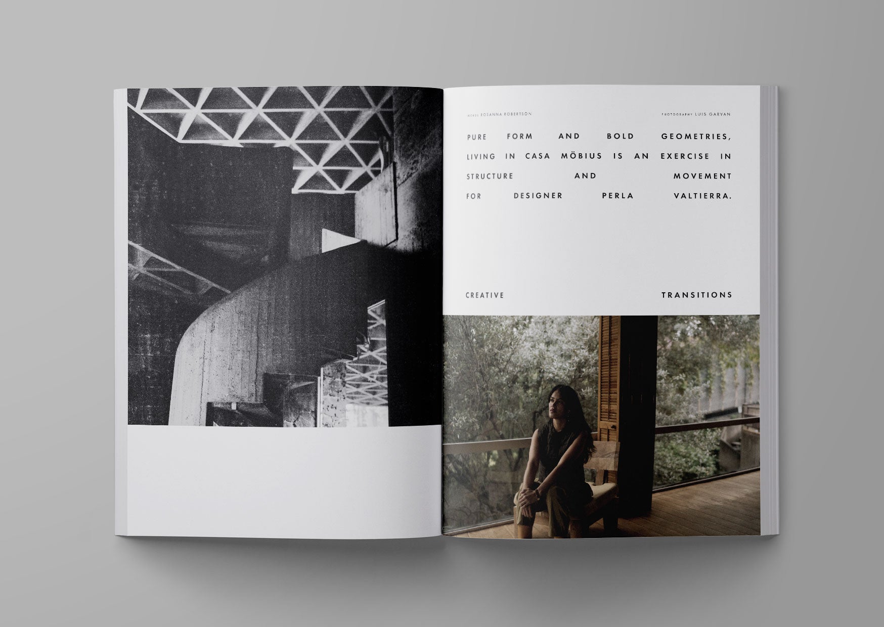 ark journal XI