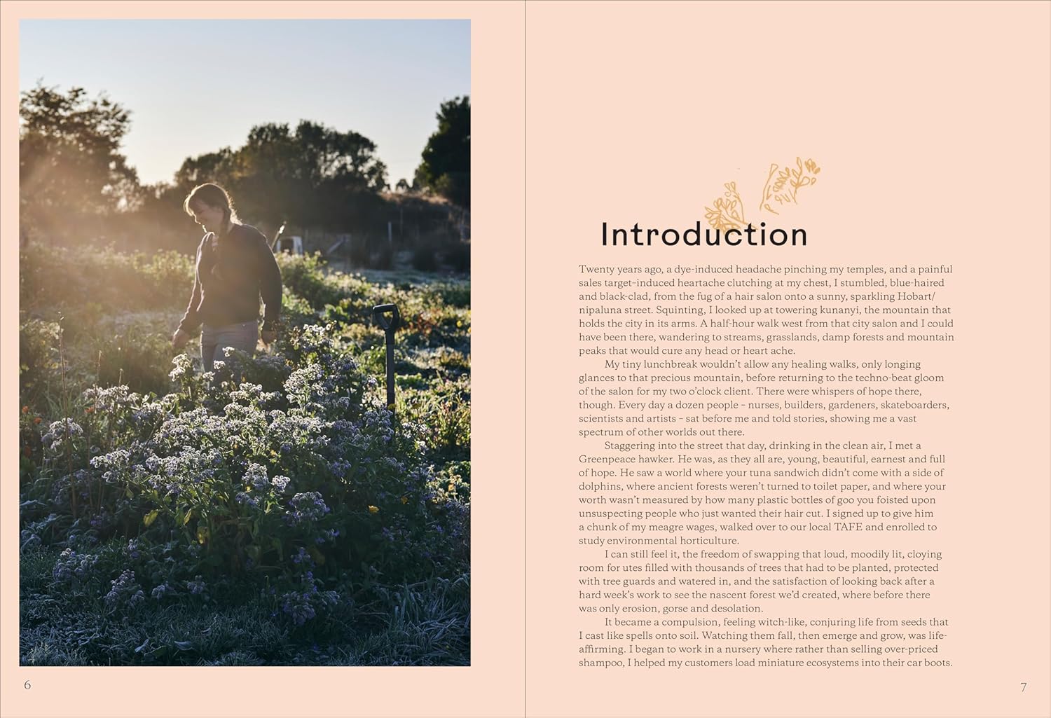 broccoli & other love stories