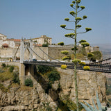 kinfolk journeys