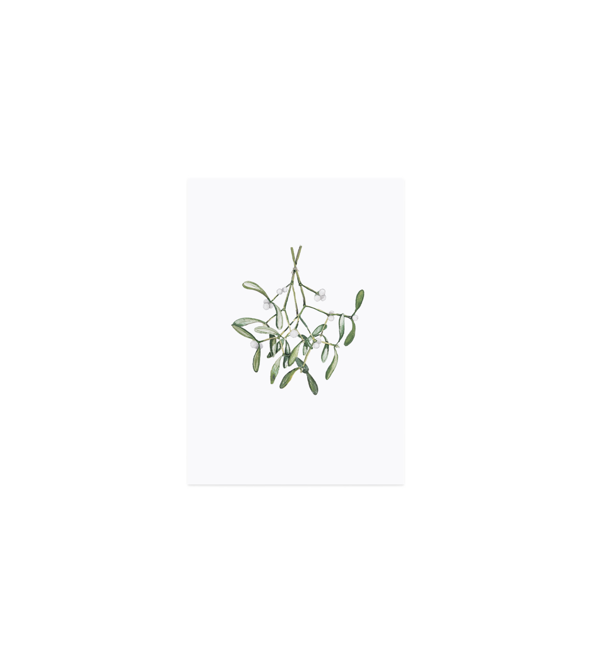 watercolour card - mistletoe