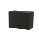 string system schank mit klapptür black stained ash 58/30